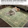 Muddy Mat® Floral Multicolor 3×5 Boho Area Rug – Washable Area Rugs for Living Room, Bedroom & Dining Room – Modern Soft Low Pile Non Slip Carpet – Pet Friendly Waterproof Foldable Rugs for Home(Majestic)