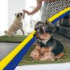 Muddy Mat® | Super Absorbent Door Mat Indoor, Microfiber Quick Dry Chenille Entryway Rug, Non-Slip Front Door Mat, Indoor Mats for Entryway, Machine Washable Pet Rug, Navy Blue 28″x18″(Army Green)