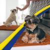 Muddy Mat® | Super Absorbent Door Mat Indoor, Microfiber Quick Dry Chenille Entryway Rug, Non-Slip Front Door Mat, Indoor Mats for Entryway, Machine Washable Pet Rug, Navy Blue 28″x18″(Orange)