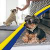 Muddy Mat® | Super Absorbent Door Mat Indoor, Microfiber Quick Dry Chenille Entryway Rug, Non-Slip Front Door Mat, Indoor Mats for Entryway, Machine Washable Pet Rug, Navy Blue 28″x18″(Grey)