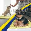 Muddy Mat® | Super Absorbent Door Mat Indoor, Microfiber Quick Dry Chenille Entryway Rug, Non-Slip Front Door Mat, Indoor Mats for Entryway, Machine Washable Pet Rug, Navy Blue 28″x18″(Yellow)