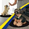 Muddy Mat® Shown on TV – Super Absorbent Microfiber Dog Door Mat for Muddy Paws, Non-Slip Washable Pet Rug, Quick Dry Chenille Entryway Carpet, Machine Washable Indoor Outdoor Mat, Black Round 6ft(Black)