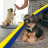 Muddy Mat® Shown on TV – Super Absorbent Microfiber Dog Door Mat for Muddy Paws, Non-Slip Washable Pet Rug, Quick Dry Chenille Entryway Carpet, Machine Washable Indoor Outdoor Mat, Black Round 6ft(Grey)