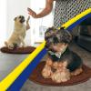 Muddy Mat® Shown on TV – Super Absorbent Microfiber Dog Door Mat for Muddy Paws, Non-Slip Washable Pet Rug, Quick Dry Chenille Entryway Carpet, Machine Washable Indoor Outdoor Mat, Black Round 6ft(Chocolate Brown)