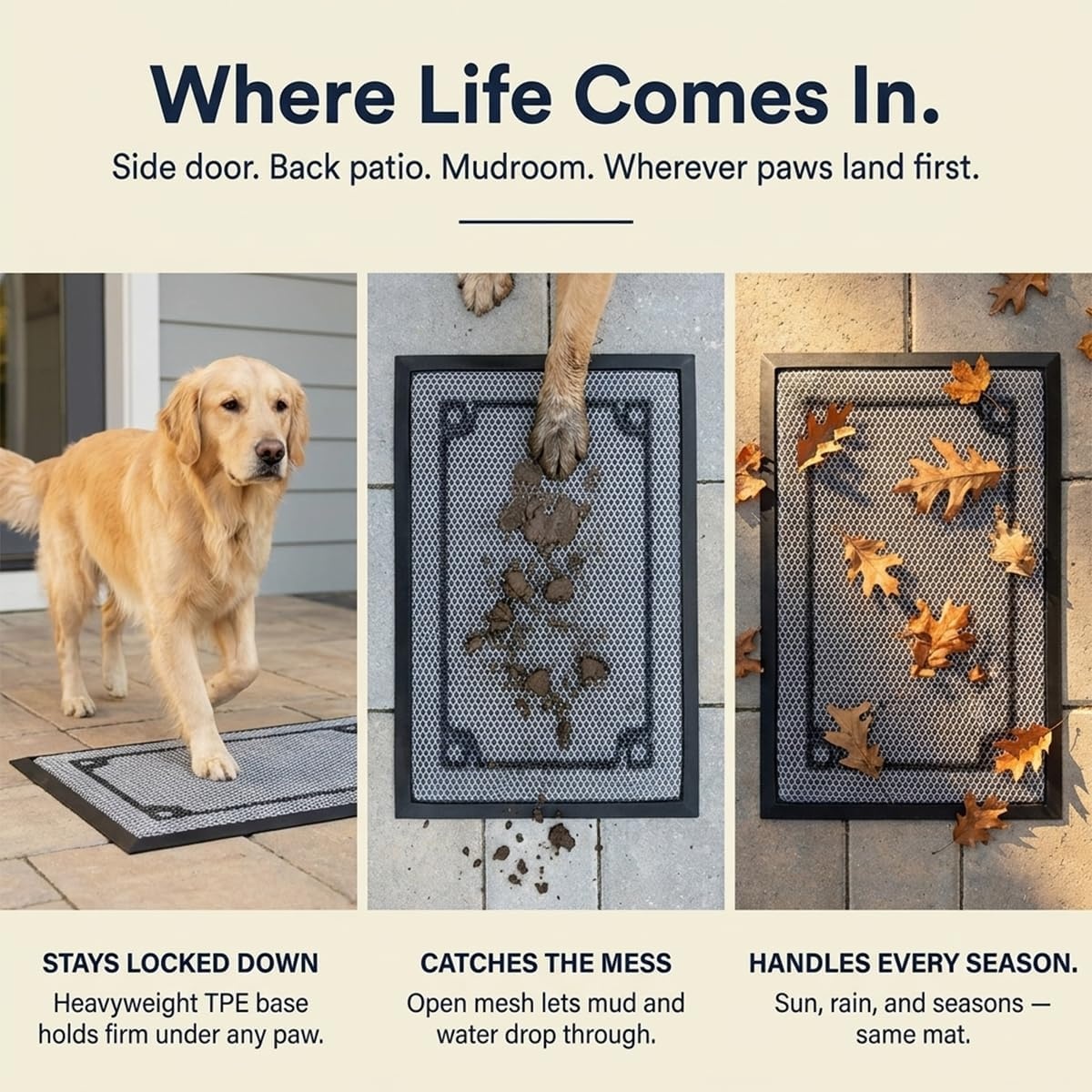 image:imageMuddy Mat Meshy Mat Door Mat HeavyDuty QuickDry Floor Mat Sand amp Dirt Trapper for Indoor amp Outdoor Ideal for Entrance Patios amp GaragesLowProfileNonSlipWashable Frame Black 16x24x024Border