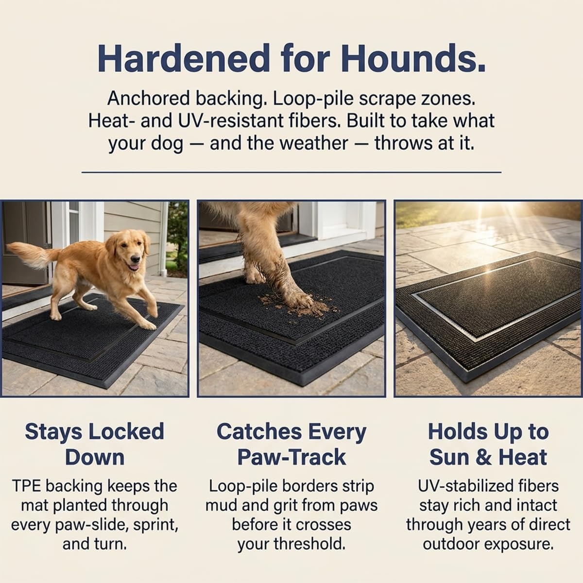 image:imageMuddy Mat Meshy Mat Door Mat HeavyDuty QuickDry Floor Mat Sand amp Dirt Trapper for Indoor amp Outdoor Ideal for Entrance Patios amp GaragesLowProfileNonSlipWashable Frame Black 16x24x024Frame Black